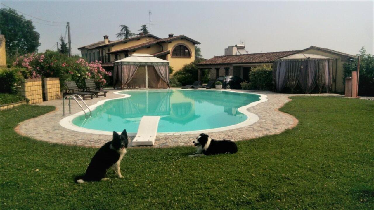 B&B Il Martin Pescatore Bagnolo San Vito 外观 照片