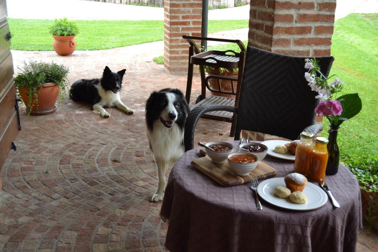 B&B Il Martin Pescatore Bagnolo San Vito 外观 照片